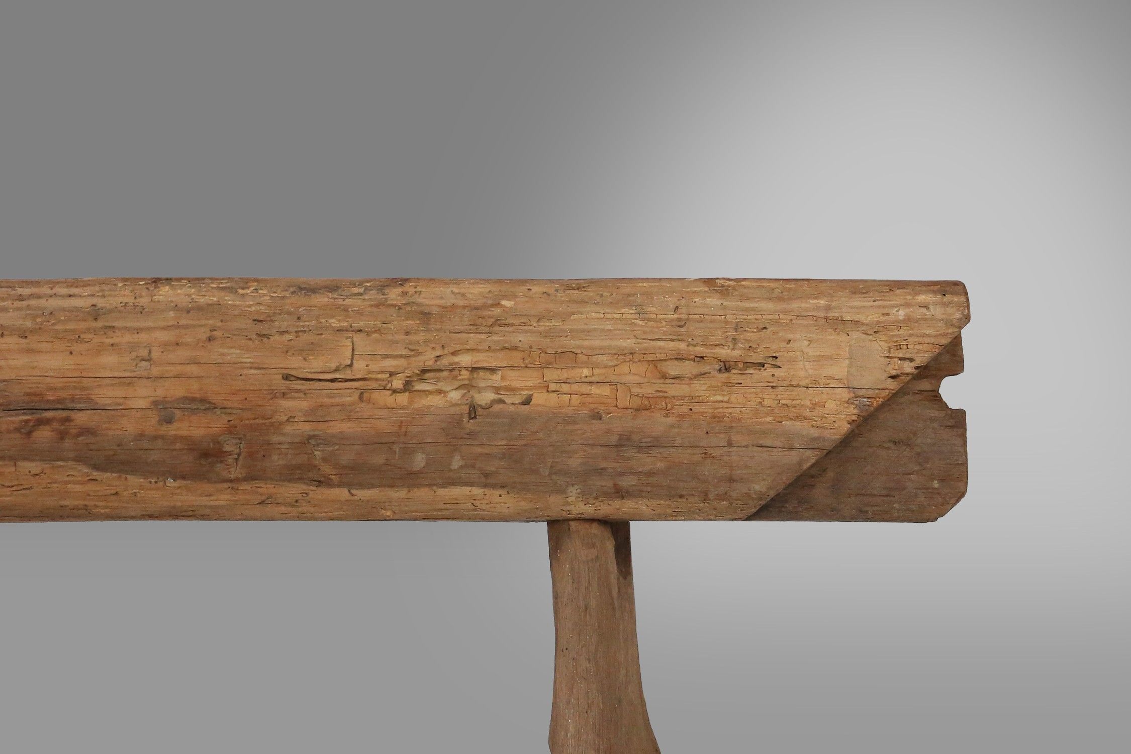 Rustic Tree Trunk Bench, France, 1850sthumbnail